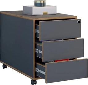 Pojemnik biurowy Salia 3 szuflada