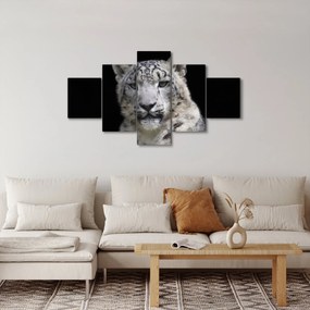 Obraz - Snow Leopard (125x70 cm)