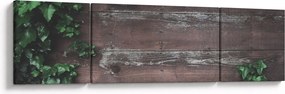 Obraz - Bluszcz (170x50 cm)
