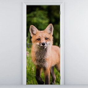 Fototapeta na drzwi - Lis (95x205cm)