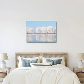 Obraz na szkle zimowego krajobrazu (70x50 cm)