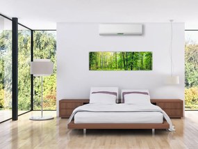 Obraz - Wiosenny las liściasty (170x50 cm)