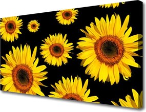 Obraz canvas Słoneczniki w Pełnym Słońcu