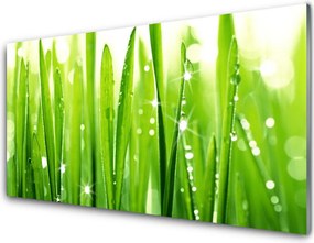 Szkło Ozdobne do Kuchni Szum Polnej Trawy