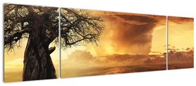 Obraz pomarańczowych chmur (170x50 cm)