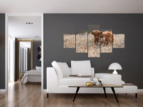 Obraz - Szkocka krowa w kwiatach (125x70 cm)