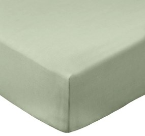 Zielone prześcieradło z perkalu bawełnianego z gumką 135x190 cm Cotton Percale – Bianca