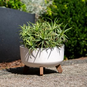 Donica ogrodowa okrągła Gracia Low ECO Wood 28,5 cm biała PROSPERPLAST
