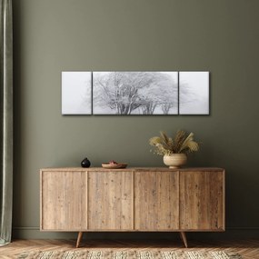 Obraz - Biała zima (170x50 cm)