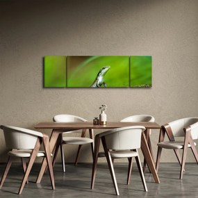Obraz jaszczurki (170x50 cm)