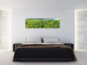 Obraz - Babia Góra, Polska (170x50 cm)