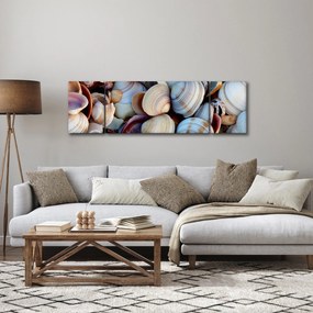 Obraz muszelek (170x50 cm)