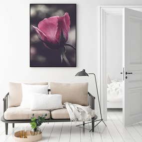 Plakat - Kwiat róży (A4)