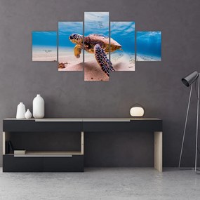 Obraz żółwia w oceanie (125x70 cm)