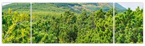 Obraz - Babia Góra, Polska (170x50 cm)