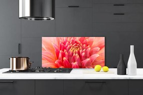 Panel Szklany do Kuchni Subtelny Pączek Kwiatowy