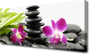 Obraz canvas na ścianę Równowaga: Orchidea i Kamienie Zen