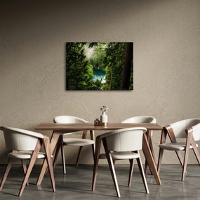 Obraz - Przestrzeń między drzewami (70x50 cm)