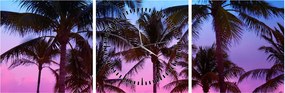 Obraz - Palmy w Miami (z zegarem) (90x30 cm)