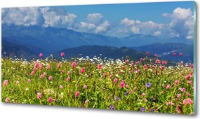 Panel do kuchni Łąka w górach