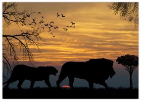 Obraz na szkle - Safari (70x50 cm)