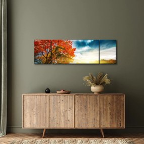 Obraz skąpanego w słońcu krajobrazu (170x50 cm)