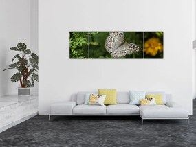 Obraz - biały motyl (170x50 cm)