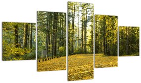 Obraz - las jesienią (125x70 cm)