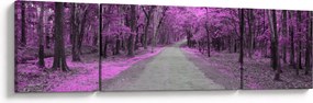 Obraz - Ścieżka przez park (170x50 cm)