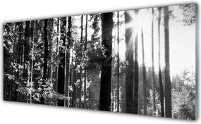 Panel Kuchenny Zielone Serce Lasu