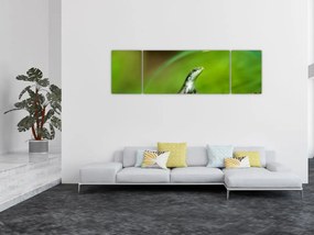 Obraz jaszczurki (170x50 cm)