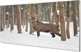 Panel nad Blat Kuchenny Zimowy Trop Jelenia w Lesie