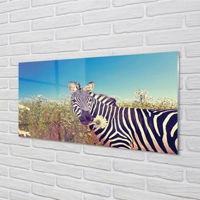 Szklany Panel Zebra kwiaty