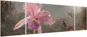 Obraz - Martin Johnson Heade, Cattleya Orchid and Three Hummingbirds, reprodukcje (170x50 cm)