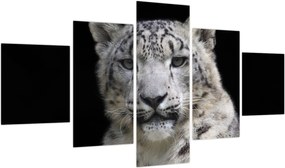 Obraz - Snow Leopard (125x70 cm)