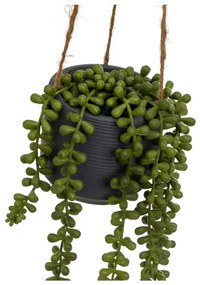 Sztuczna roślina (wysokość 37 cm) Senecio – Casa Selección