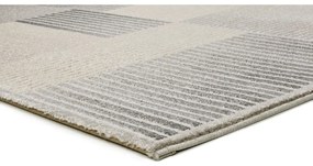 Jasnoszaro-kremowy dywan 200x290 cm Baresa – Universal