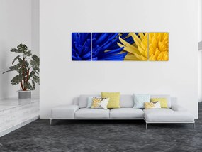 Obraz - szczegóły kwiatów (170x50 cm)