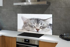 Szkło do Kuchni na Ścianę Słodki Sen Śpiącego Kota