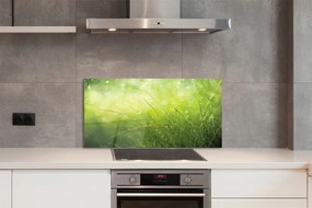 Szklany Panel Świeżość Rosy na Trawie