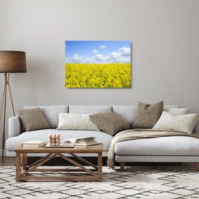Obraz na szkle żółtego pola (70x50 cm)