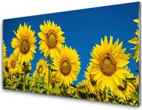 Szkło do Kuchni na Ścianę Radosne Pole Słoneczników