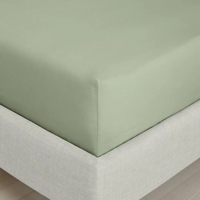 Zielone prześcieradło z perkalu bawełnianego z gumką 150x200 cm Cotton Percale – Bianca