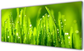 Szkło do Kuchni na Ścianę Poranne Perły na Trawie