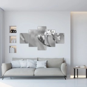 Obraz - Kwitnący kwiat (125x70 cm)