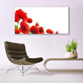 Zdjęcie na płótnie Czerwone Maki w Słońcu