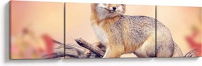 Obraz - Lis (170x50 cm)