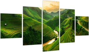 Obraz - Tarasy ryżowe Mu Cang Chai (125x70 cm)