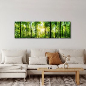 Obraz - Świt w lesie (170x50 cm)