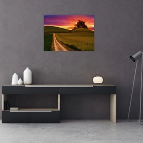 Obraz pola z zachodem słońca (70x50 cm)